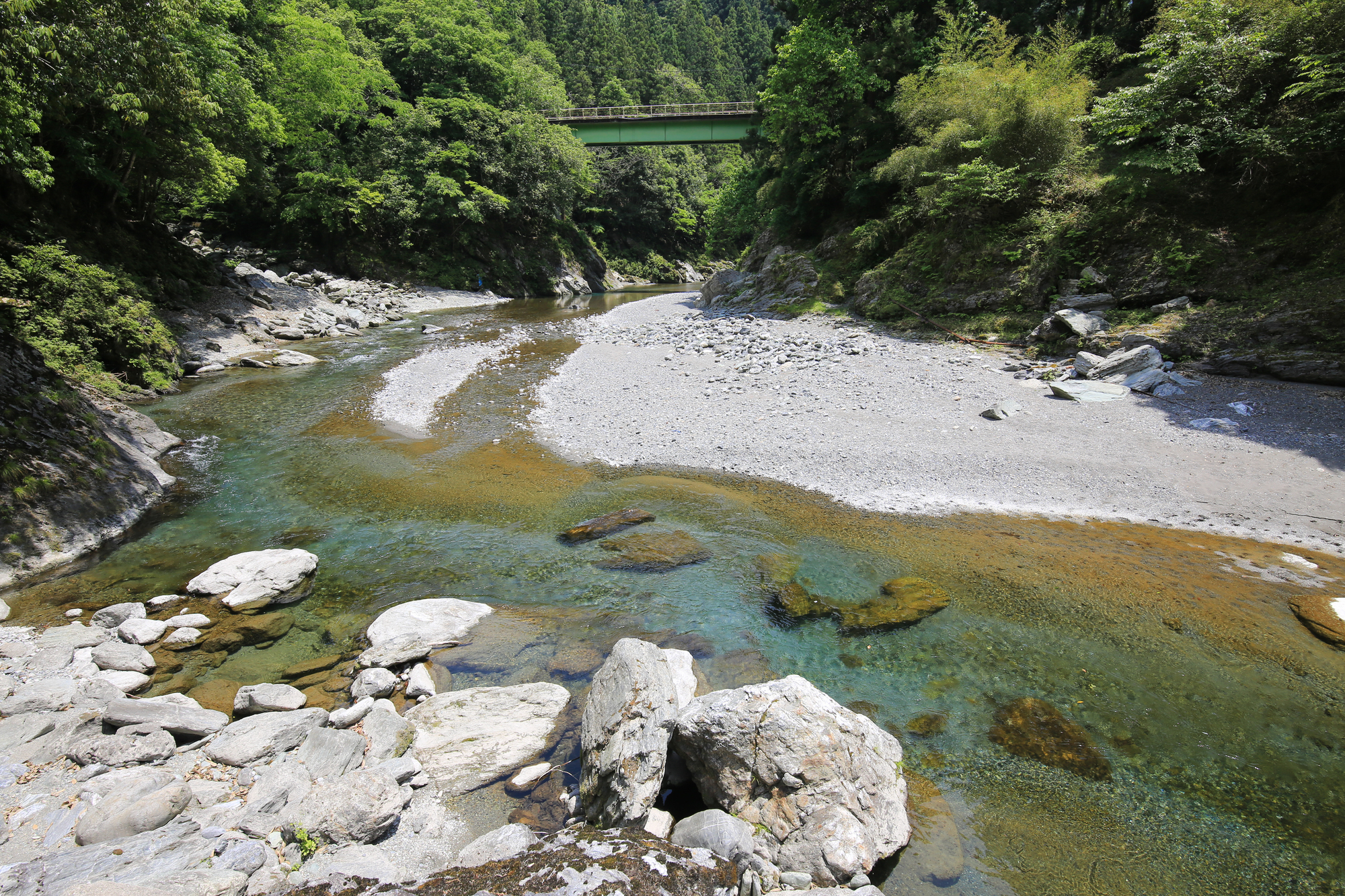 山々の雪解け水が注ぐ上越の田園